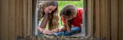 Students checking specimens caught crossing amphibian crossing below a local street