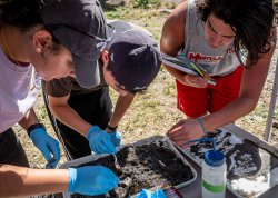 Students examining soil sample from local river