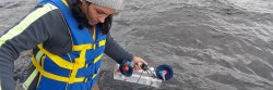 examining sample in field
