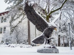 Large MSU Red Hawk bronze statue covered in snow.