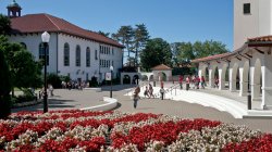 flowers on Montclair campus
