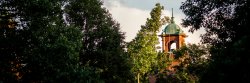Image of the MSU Bell Tower