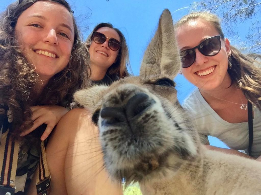 Students pose with wallaby in Australia
