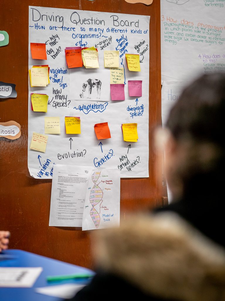 Pictures of questions posted on classroom wall.